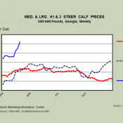 2011 03 03 calfprices-march52011