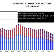 February 1 Cattle Report Confirms Shrinking Beef Cow Herd 2013 02 01 COW-Feb42013