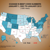 2013 02 08 cattleinventory2013