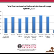 Winter Annual Forage Costs