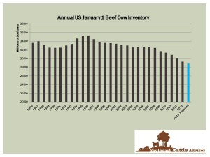 Historical and Projected January 1 Beef Cow Numbers, US.  Sources: USDA-NASS and UGA.