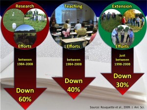 forage extension figure