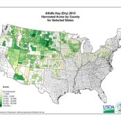 Alfalfa production in USA