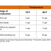 Water Requirements of Beef Cattle