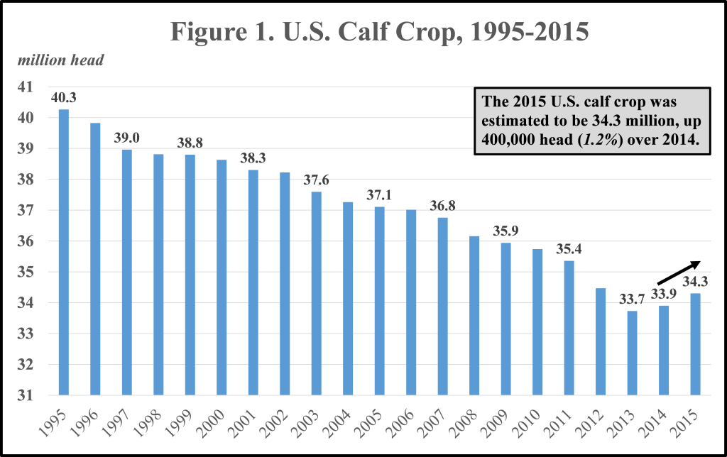 U.S. Calf Crop