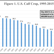 U.S. Calf Crop