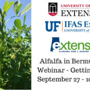 Alfalfa in Bermudagrass Webinar - Getting StartedSeptember 27 - 10 AM CDT